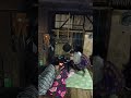tengah malam jum'at kliwon saat tidur di dapur kampung dekat kuburan pinggir kuburan
