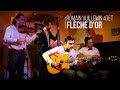 Flche dor  django reinhardt  romain vuillemin quartet