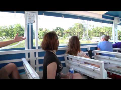 See the Dora Canal on a boat tour!