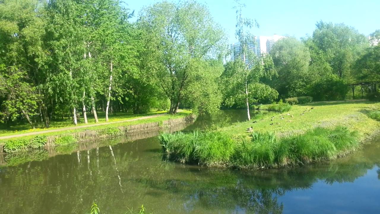 Парк в Свиблово. Москва. Прогулка. Июнь 2016. - YouTube