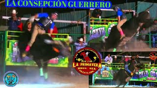 💥RANCHO LA PRIMAVERA EN LA CONCEPCION, GRO. 23 NOVIEMBRE 2024
