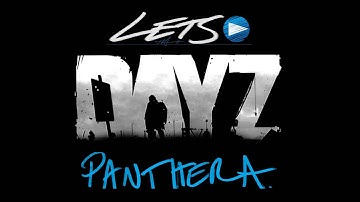 DayZ Panthera - The Hacker and the C-130