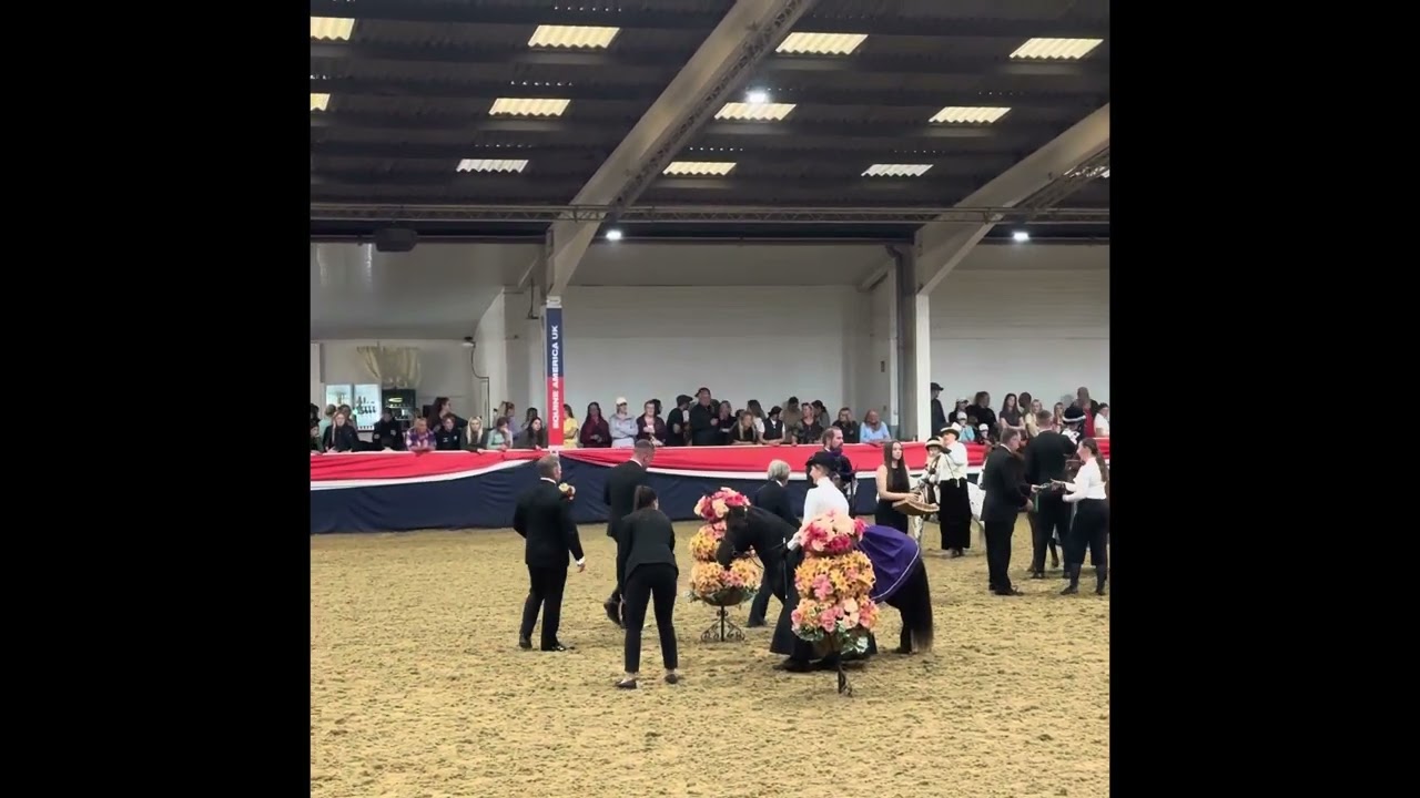 @equifest 2023 first place winner