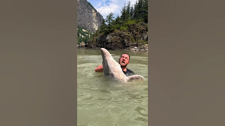 How to catch MASSIVE fish! #fishing #sturgeon #huge