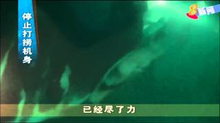 印尼军方停止亚航失事客机搜救工作 向遇难�