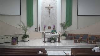 9:00 am Daily Mass (Thursday, June 18,  2026)