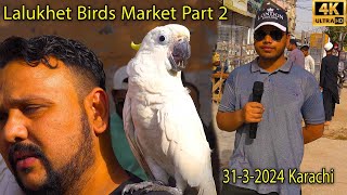 Lalukhet Exotic Birds Market 3132024 Karachi Part 2 | سوق لالوخيت للطيور | लालूहित पक्षी बाजार