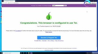 Tor browser видео обзор mega2web браузер тор истории megaruzxpnew4af