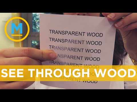 Transparent wood might replace glass in the near future | Your Morning