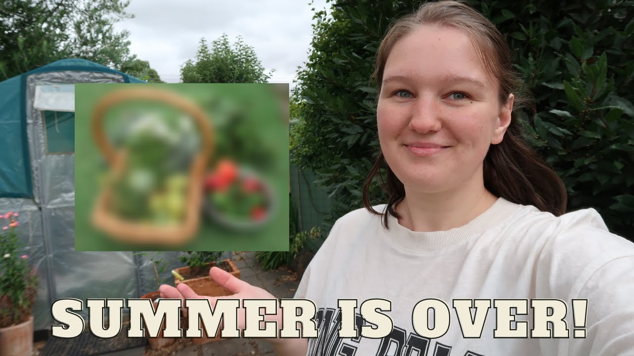 It's Been a Bad Season for Heat Loving Crops / End of Summer Harvest / Aussie Suburban Homestead