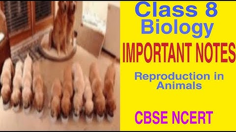 Class 8 Science Chapter 9 Reproduction in Animals #cbse#ncert|NOTES|BloomLearn QUESTIONS AND ANSWERS
