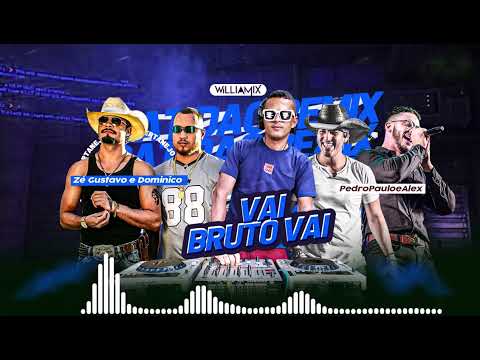 VAI BRUTO VAI