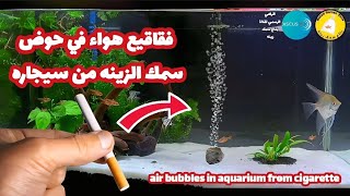 فقاقيع هواء في حوض سمك الزينه من سيجاره