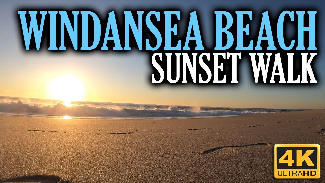 4k Windansea Beach Walk During Sunset La Jolla San Diego California Usa Travel Youtube 4k Windansea Beach Walk During Sunset La Jolla San Diego California Usa Travel Youtube