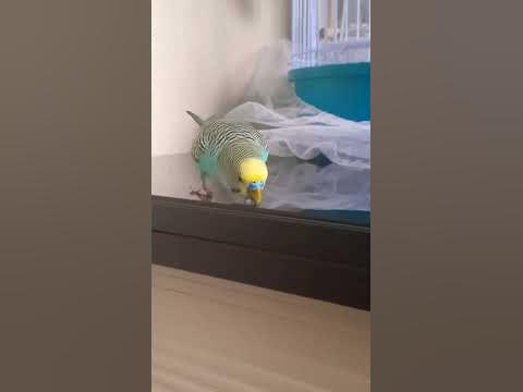 #кеша ️ ️ ️ ️ - YouTube