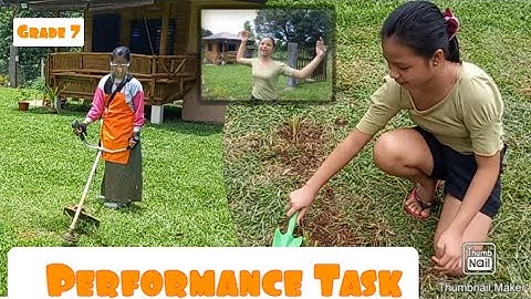 Performance Task | How to use Grass cutter,  Rake and Garden Trowel | Precious Nicelle vlog #sirawan