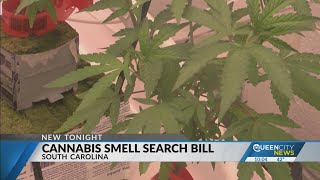 SC Senator files bill to eliminate stops, arrests based on marijuana smell