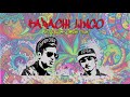 💗💙 Karachi Lingo - Official Audio - Young Stunners💙💗   || WasiLines