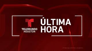 EN VIVO Acusan a HPD de retener a inmigrante más de dos horas para entregarlo a ICE