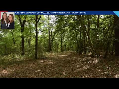 4304 Nap Knob, Holt, FL home video tour