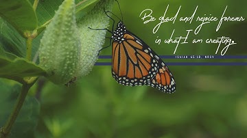 Sunday, November 16, 2025