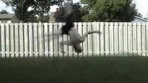 Compilation video 2003-2005