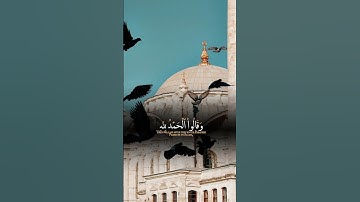 تلاوة خاشعة للشيخ ماهر المعيقلي "وقالو الحمد لله"