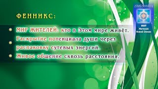 ФЕННИКC | МИР ЖИТЕЛЕЙ: кто в Этом мире живёт. Живое общение сквозь расстояния. ФЕННИКC | МИР ЖИТЕЛЕЙ: кто в Этом мире живёт. Живое общение сквозь расстояния.