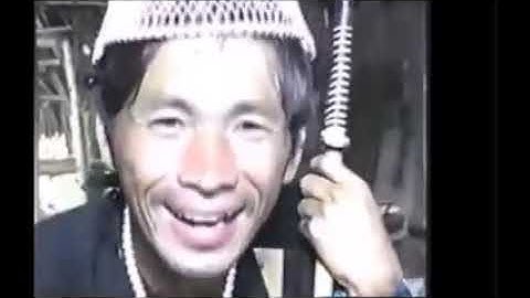 Niam Tais Poj Dab Noj Plab Qaib 1