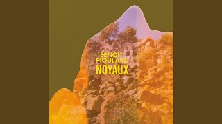 Video thumbnail of "Benoit Pioulard - Noyaux"
