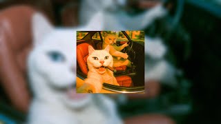 Brazslap - Infection