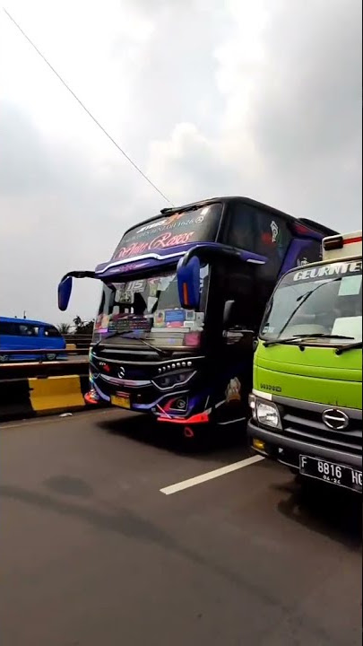 Story'wa Bus Po Haryanto WHITE ROSES
