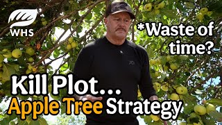 Full Fruit Trees For Kill Plots | Maybe News