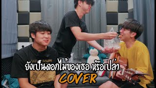 ยังเป็นดอกไม้ของเธอ...หรือเปล่า (Flower)| FFK|「Cover by Parkmalody X NANA FILM」