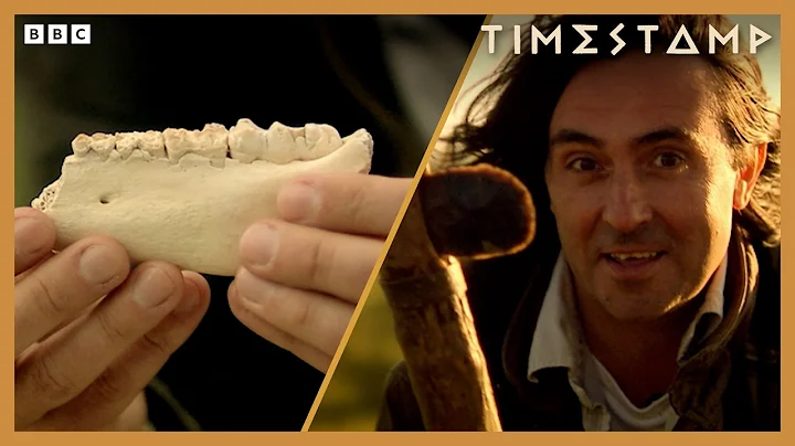 4 Stone Age Secrets revealed | BBC Timestamp