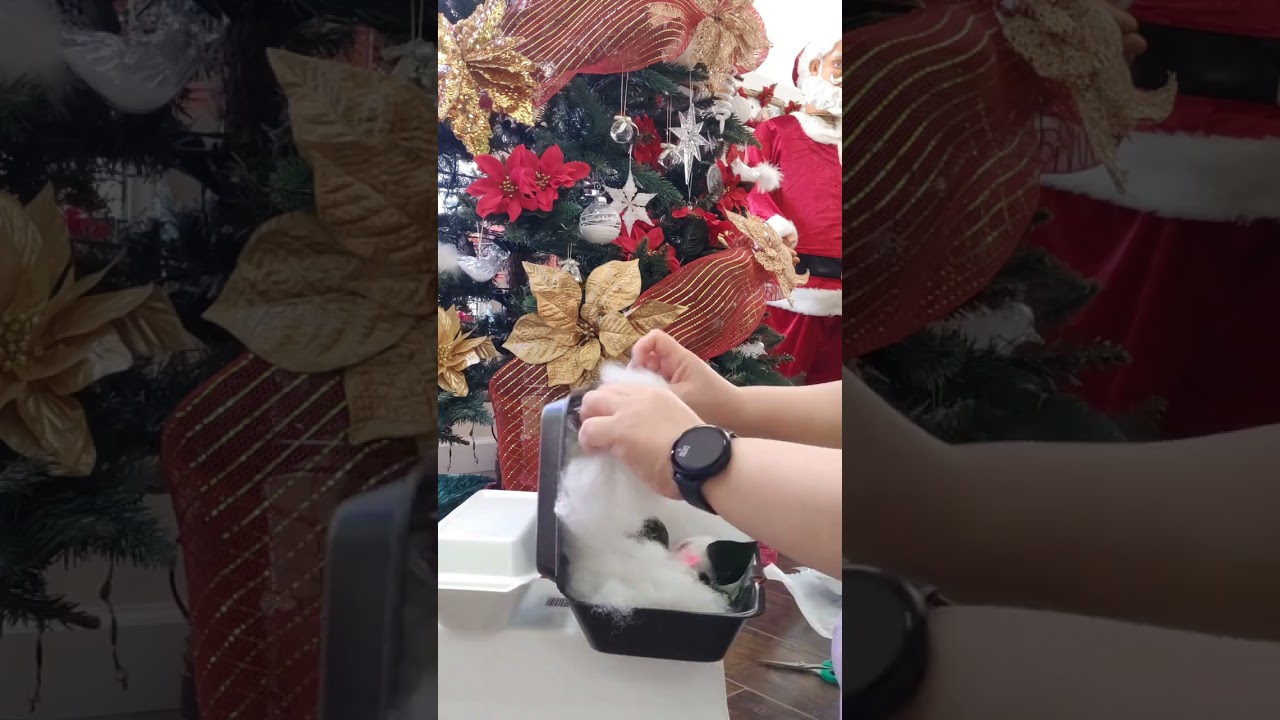 Hoya Mail 19 w/ surprise 🎁