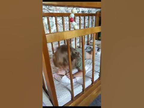 Ку-Ку-ку Ку-ку #мамавдекрете #дети #малышка #малышка #семья # ...
