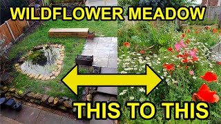Making a Wildflower Meadow Garden