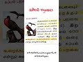 கப்பல் பறவை 🐦#tamil #tnpsc #trb #tntet #tnpscgroup4 #ugtrb #govermentexam