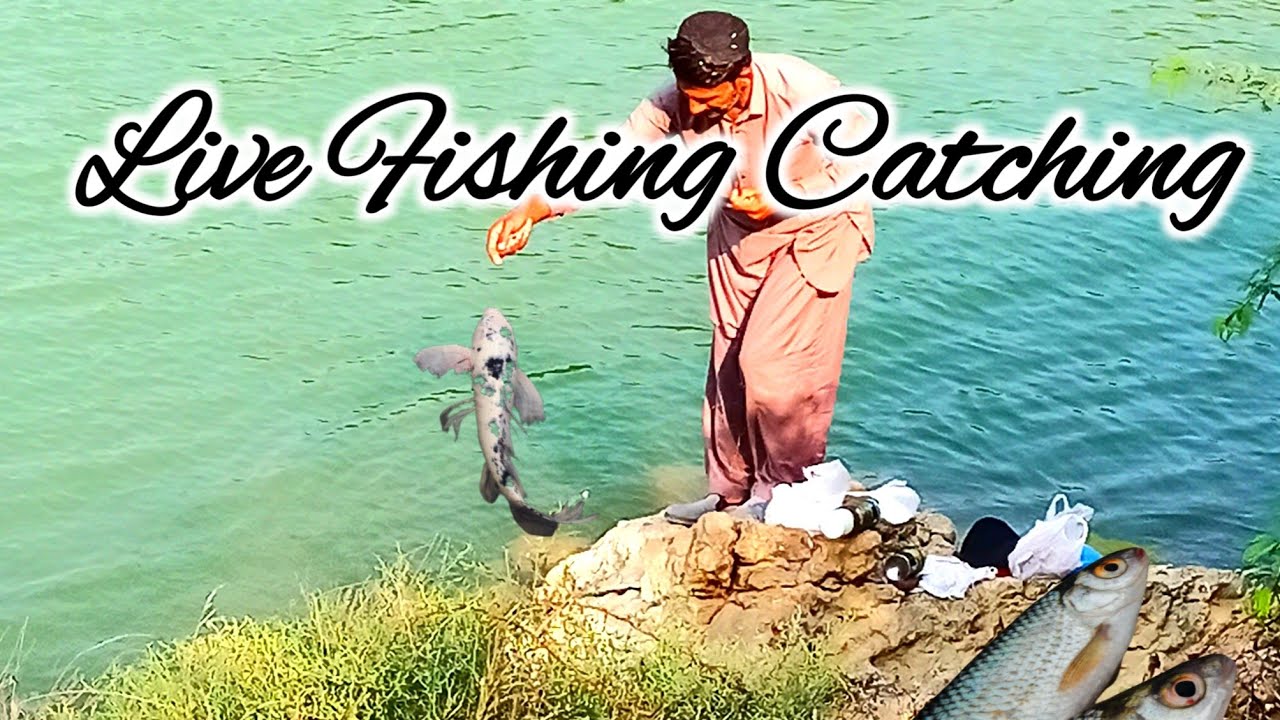 Top Fishing The Hub Dam Karachi •Beautiful View Live streamaurangzebslifeurdu YouTube