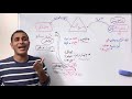 دراسة كتاب مقدس سفر راعوث في ١٢ دقيقة كله 