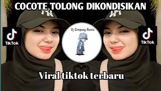 COCOTE TOLONG DIKONDISIKAN SLOW REMIX  BAAS VIRAL TIKTOK TERBARU