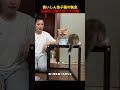 食いしん坊子猫の執念、兄猫のご飯を狙う大作戦！#shorts #動物 #ペット