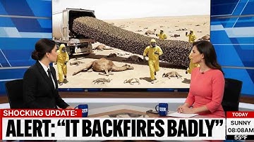 A One Year Sahara Test Using Frozen Bees Captured a Result That Forced Analysts Back to the Lab