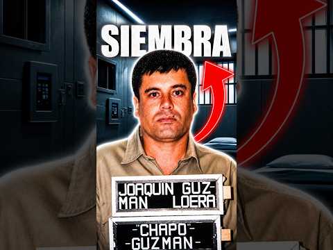 El día que el CHAP0 NEGÓ ser NARC0
