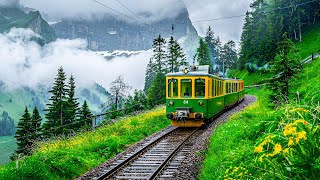 นั่งรถไฟในกรินเดลวัลด์ 🇨🇭 Swiss Alps 4K