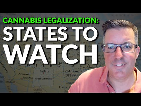 Cannabis Legalization: 2 Key States to Watch on Election Day