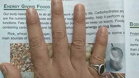 DAV Nahan Class-IV Science Lesson-7, Part-2