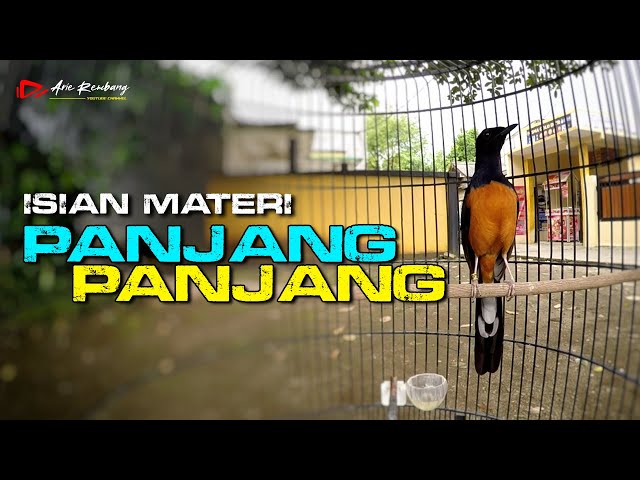 MURAI GACOR MATERI ISIAN MEWAH NEMBAK PANJANG PANJANG class=