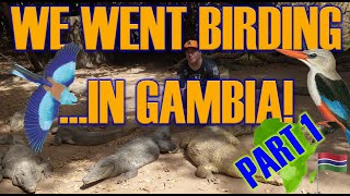 WE WENT BIRDING IN GAMBIA  PART 1